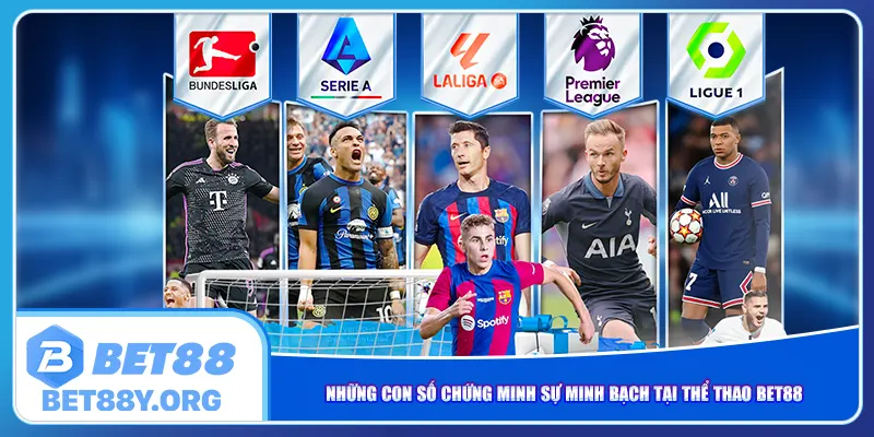 Những con số chứng minh sự minh bạch tại thể thao Bet88