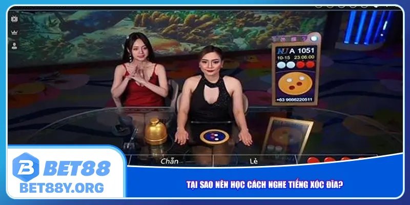 Tại sao nên học cách nghe tiếng xóc đĩa?