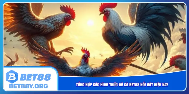 Tổng hợp các hình thức đá gà Bet88 nổi bật hiện nay