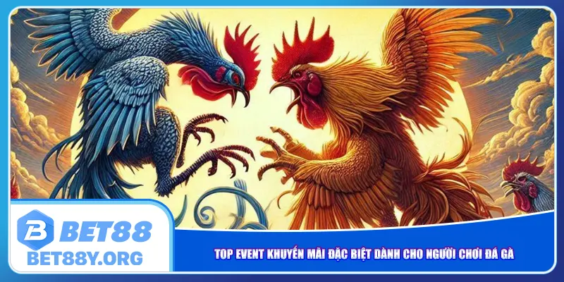 Top event khuyến mãi đặc biệt dành cho người chơi đá gà